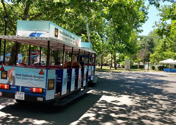 студио слънчева перла